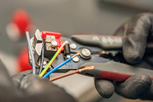Best Electrical System Inspection  in Pleasureville, KY