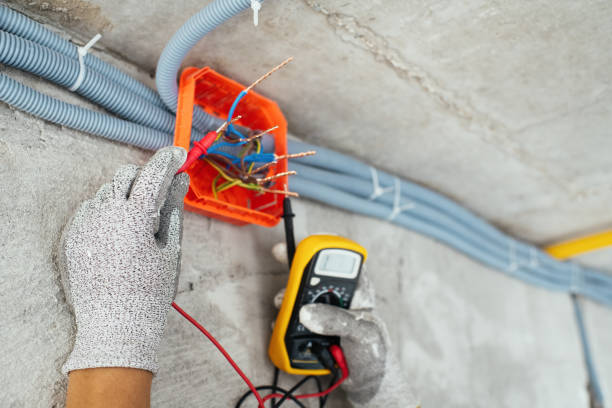 Best Ceiling Fan Installation Electrician  in Pleasureville, KY
